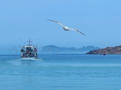 -海驴岛(荣成市)