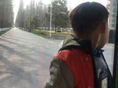 -黄海国家森林公园