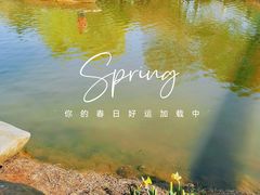 -上海辰山植物园