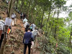 -黄埔油麻山森林公园
