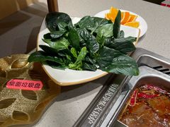 -海底捞火锅(赛格国际购物中心店)