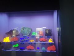 -湖南省地质博物馆