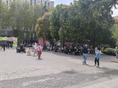 -洛阳市牡丹公园