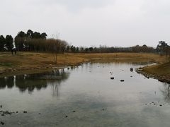 -两河城市森林公园