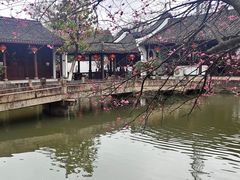 -丝绸小镇荻港古村