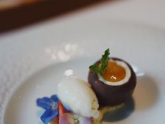 -蝶舍·MAISON PAPILLON