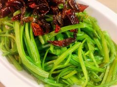 清炒水芹菜-缘生态云南菜·野生菌庭院餐厅(华侨城店)