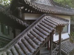 -扬州大运河文化旅游度假区·盆景园