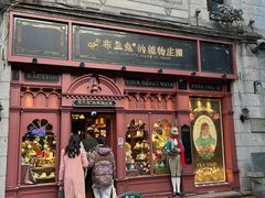 -布兰兔的植物庄园(杭州南宋御街店)