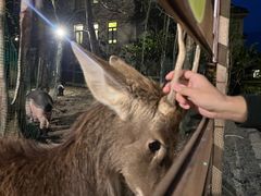 -广州锦绣香江度假别墅