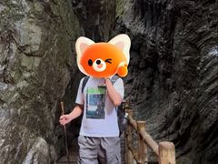 -牛背梁国家森林公园