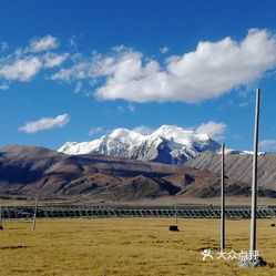 可可西里藏羚羊观景台