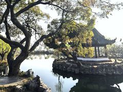 -无锡蠡湖国家湿地公园-蠡园