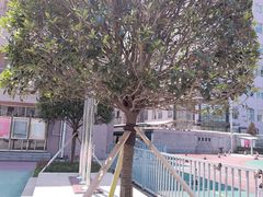 -南通博物苑-崇川人民公园