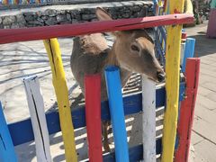 -西部长青自然儿童乐园