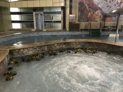 -南宫温泉水世界