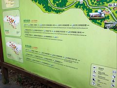 景点-成都大熊猫繁育研究基地