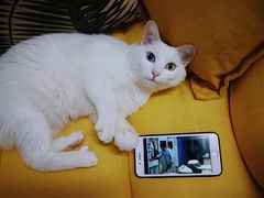 -PETKIT小佩宠物(古北店)