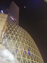 -威拉发艺