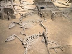 -洛阳周王城天子驾六博物馆