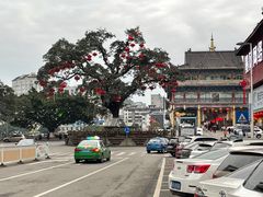 -胖师鱼馆非遗砂锅雅鱼(大北街店)