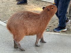 -成都欢乐谷