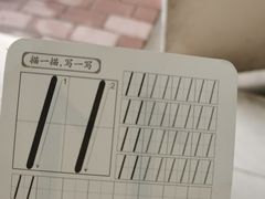 -巫记鸡饭店