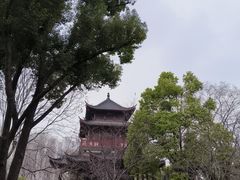 -堤角公园