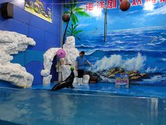 -左海海底世界
