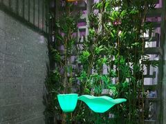 -不倒翁·安徽名菜楼(步行街店)