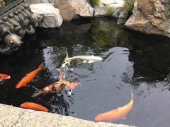 -如家驿居酒店(北京首体白石桥南地铁站店)