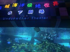 -泉城欧乐堡海洋极地世界