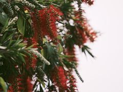 -芒洲湿地公园