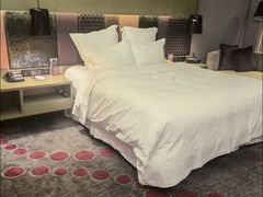 -南京禄口机场雅高铂尔曼大酒店