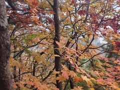 -丹东天桥沟景区