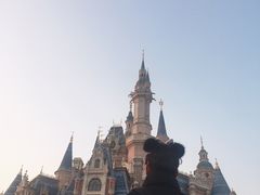 城堡-上海迪士尼度假区
