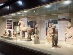 -乐山市博物馆