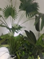 -HEYAN荷妍专业脱毛连锁机构