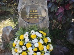-中国科学院西双版纳热带植物园