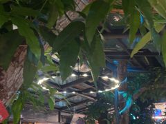 -海岛八号龙虾烧烤田鸡(蓝天路总店)