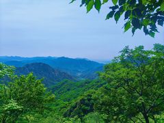 -大岭沟猕猴桃谷风景区