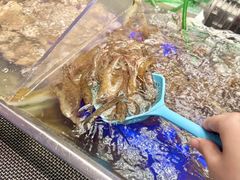 -深圳温德姆至尊酒店