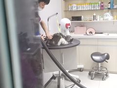 -宠颐生动物医院·小陆分院