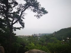 -崂山仰口游览区
