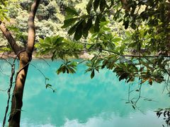-鼎湖山风景区