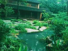 -杭州植物园
