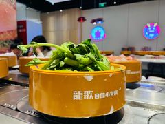 -龍歌自助小火锅(芝罘万达店)