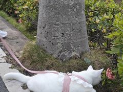 -奥冠体育华师附中恒温游泳馆