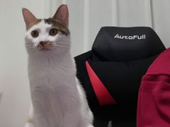 -达爱动物医院·犬猫分区·CT·复杂眼科(远洋山水分院)
