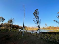 -青鱼湾水上乐园